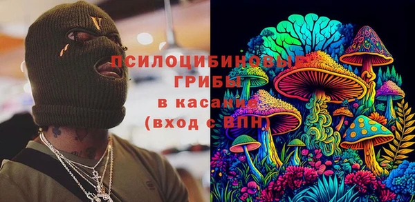 спайс Аркадак