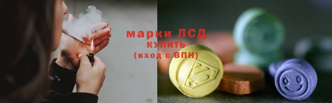 PSILOCYBIN Армянск
