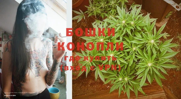 спайс Аркадак